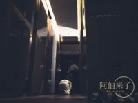 【网红摄影】重磅！整合28位超强摄影+极品网红 超给力，抖叔 希威社 戴菲妮 野叔 无尘 等各类