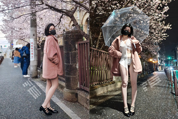 Naimi奶咪 房東的玩物2 櫻花下的露出任務