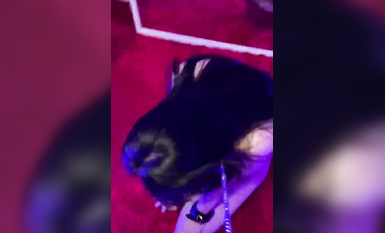 母狗跪在地上，_被爸爸一耳光扇飛