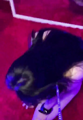 母狗跪在地上，_被爸爸一耳光扇飛